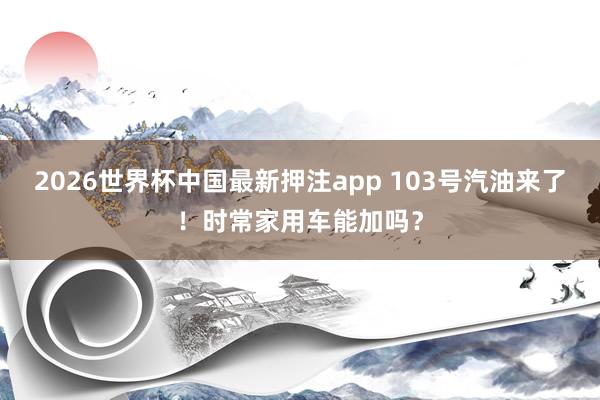 2026世界杯中国最新押注app 103号汽油来了！时常家用车能加吗？