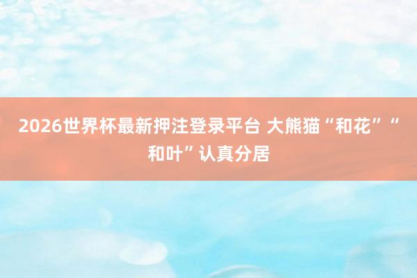 2026世界杯最新押注登录平台 大熊猫“和花”“和叶”认真分居