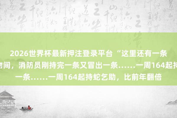 2026世界杯最新押注登录平台 “这里还有一条！”杭州住户家中杂物间，消防员刚持完一条又冒出一条……一周164起持蛇乞助，比前年翻倍