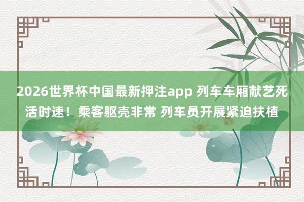 2026世界杯中国最新押注app 列车车厢献艺死活时速！乘客躯壳非常 列车员开展紧迫扶植