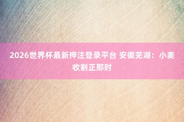 2026世界杯最新押注登录平台 安徽芜湖：小麦收割正那时