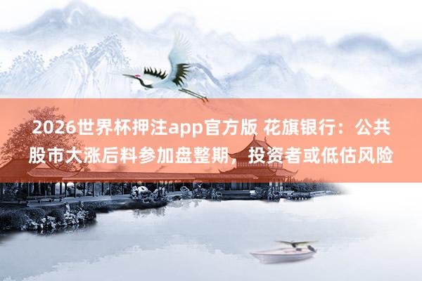 2026世界杯押注app官方版 花旗银行：公共股市大涨后料参加盘整期，投资者或低估风险