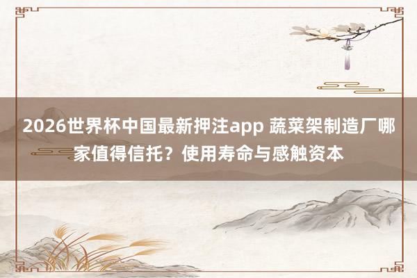 2026世界杯中国最新押注app 蔬菜架制造厂哪家值得信托？使用寿命与感触资本