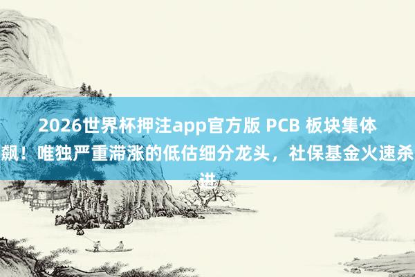 2026世界杯押注app官方版 PCB 板块集体狂飙！唯独严重滞涨的低估细分龙头，社保基金火速杀进