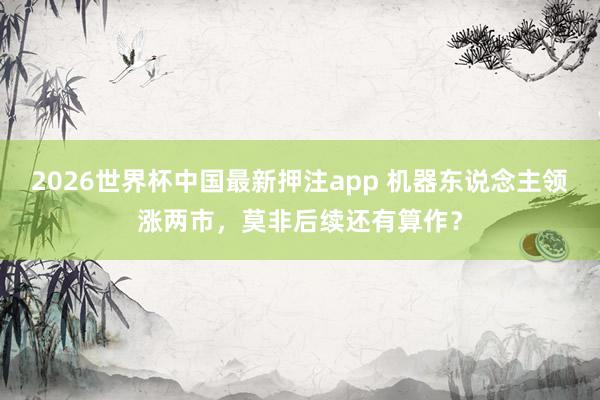 2026世界杯中国最新押注app 机器东说念主领涨两市，莫非后续还有算作？