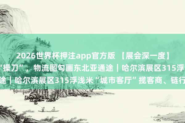 2026世界杯押注app官方版 【展会深一度】手术机器东说念主现场“操刀”，物流图勾画东北亚通途｜哈尔滨展区315浮浅米“城市客厅”揽客商、链行家