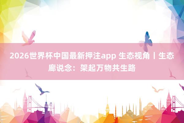 2026世界杯中国最新押注app 生态视角丨生态廊说念：架起万物共生路