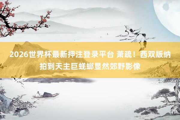 2026世界杯最新押注登录平台 萧疏！西双版纳拍到天主巨蜣螂显然郊野影像