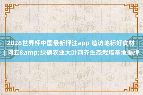 2026世界杯中国最新押注app 造访地标好食材 | 阿五&绿硕农业大叶荆芥生态栽培基地揭牌