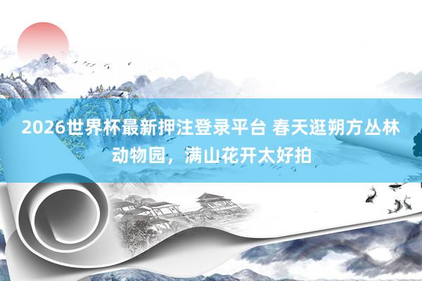 2026世界杯最新押注登录平台 春天逛朔方丛林动物园，满山花开太好拍