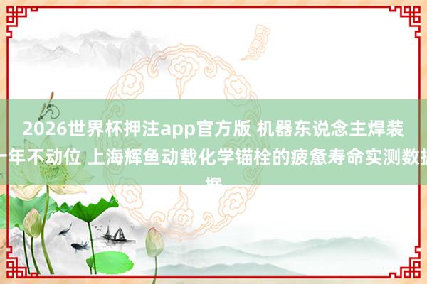 2026世界杯押注app官方版 机器东说念主焊装十年不动位 上海辉鱼动载化学锚栓的疲惫寿命实测数据