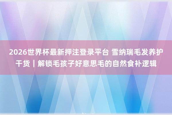 2026世界杯最新押注登录平台 雪纳瑞毛发养护干货｜解锁毛孩子好意思毛的自然食补逻辑