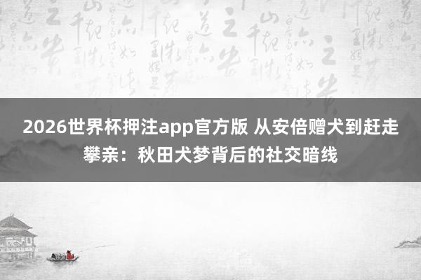 2026世界杯押注app官方版 从安倍赠犬到赶走攀亲：秋田犬梦背后的社交暗线