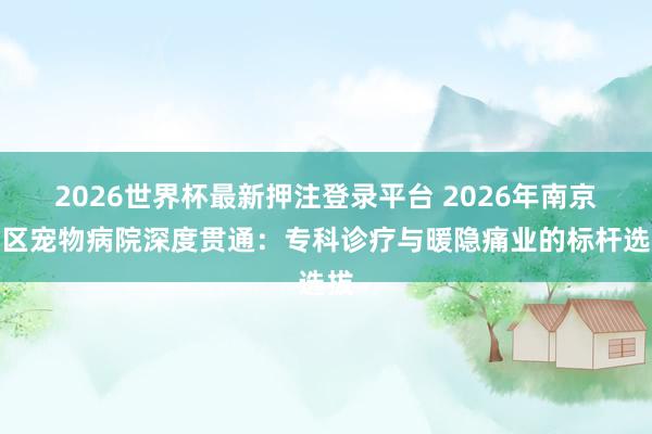 2026世界杯最新押注登录平台 2026年南京市区宠物病院深度贯通：专科诊疗与暖隐痛业的标杆选拔