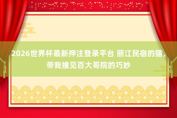 2026世界杯最新押注登录平台 丽江民宿的猫，带我撞见百大哥院的巧妙