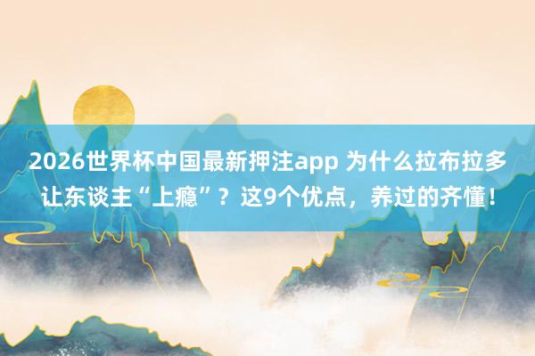 2026世界杯中国最新押注app 为什么拉布拉多让东谈主“上瘾”？这9个优点，养过的齐懂！