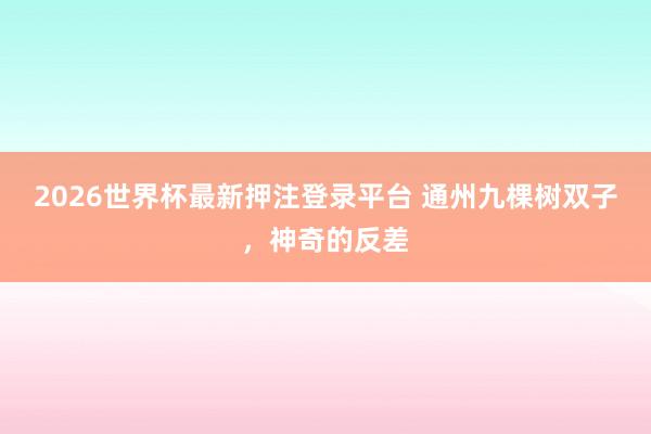 2026世界杯最新押注登录平台 通州九棵树双子，神奇的反差