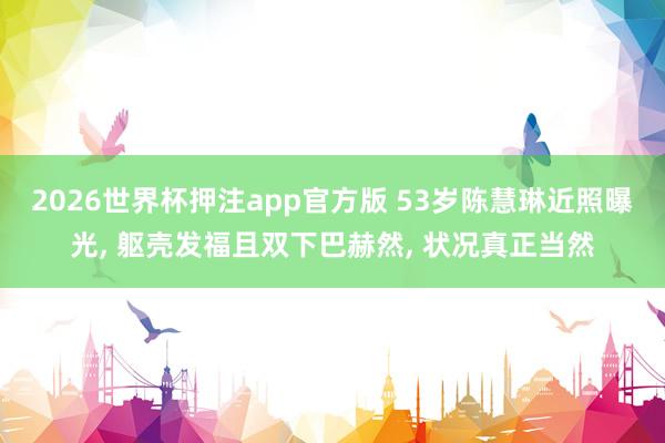 2026世界杯押注app官方版 53岁陈慧琳近照曝光， 躯壳发福且双下巴赫然，<a href=