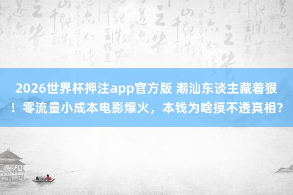 2026世界杯押注app官方版 潮汕东谈主藏着狠！零流量小成本电影爆火，本钱为啥摸不透真相？