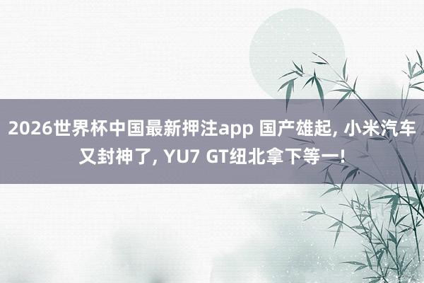 2026世界杯中国最新押注app 国产雄起， 小米汽车又封神了， YU7 GT纽北拿下等一!