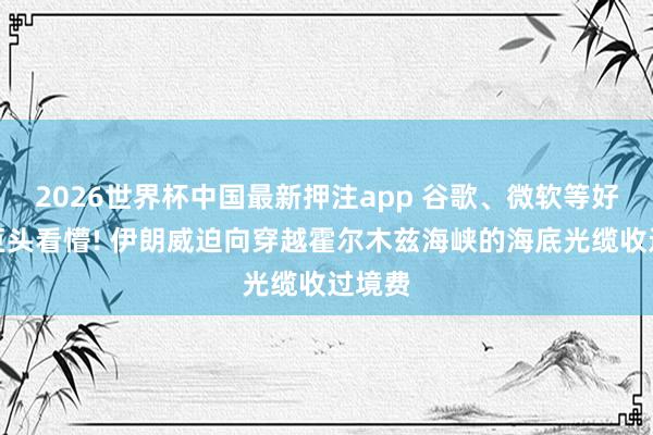 2026世界杯中国最新押注app 谷歌、微软等好意思巨头看懵! 伊朗威迫向穿越霍尔木兹海峡的海底光缆收过境费