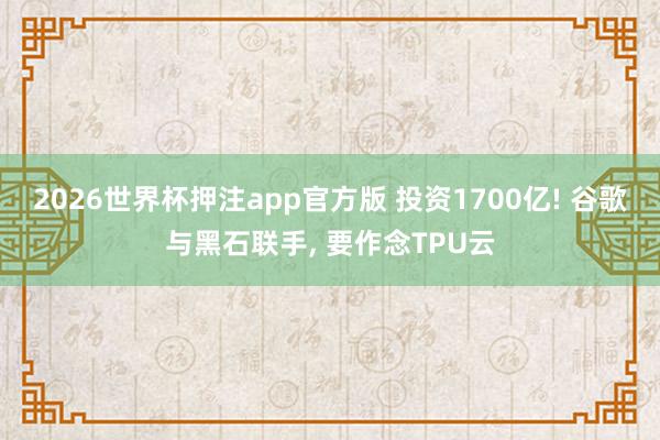 2026世界杯押注app官方版 投资1700亿! 谷歌与黑石联手， 要作念TPU云