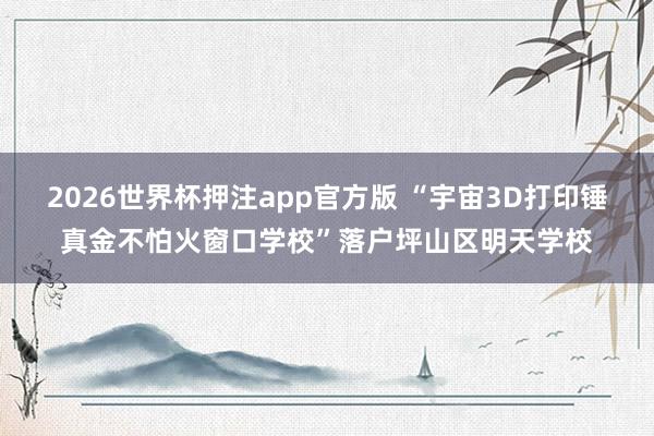 2026世界杯押注app官方版 “宇宙3D打印锤真金不怕火窗口学校”落户坪山区明天学校