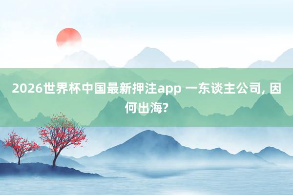 2026世界杯中国最新押注app 一东谈主公司， 因何出海?