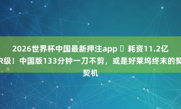 2026世界杯中国最新押注app ‍耗资11.2亿！R级！中国版133分钟一刀不剪，或是好莱坞终末的契机