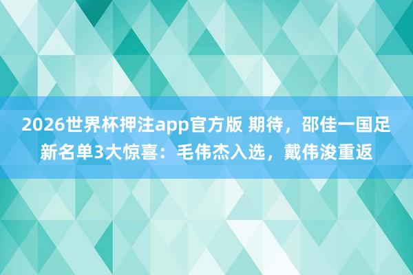 2026世界杯押注app官方版 期待，邵佳一国足新名单3大惊喜：毛伟杰入选，戴伟浚重返