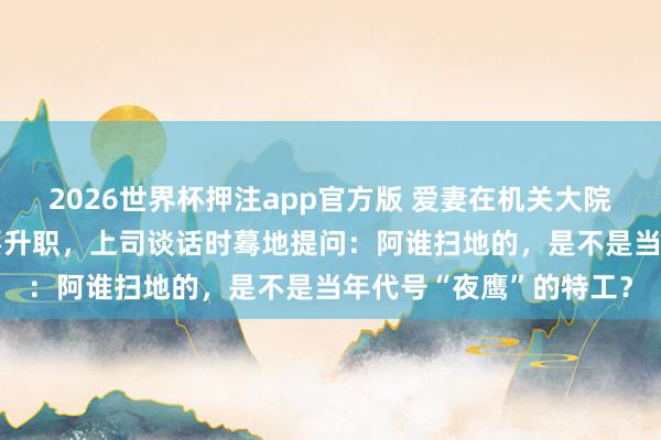 2026世界杯押注app官方版 爱妻在机关大院扫了20年的地，我刚要升职，上司谈话时蓦地提问：阿谁扫地的，是不是当年代号“夜鹰”的特工？