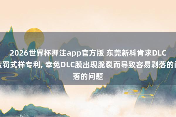2026世界杯押注app官方版 东莞新科肯求DLC膜责罚式样专利， 幸免DLC膜出现脆裂而导致容易剥落的问题