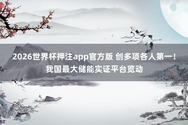 2026世界杯押注app官方版 创多项各人第一！我国最大储能实证平台览动
