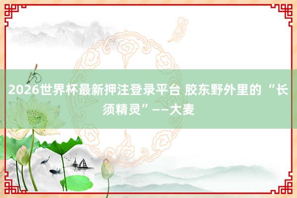 2026世界杯最新押注登录平台 胶东野外里的 “长须精灵”——大麦