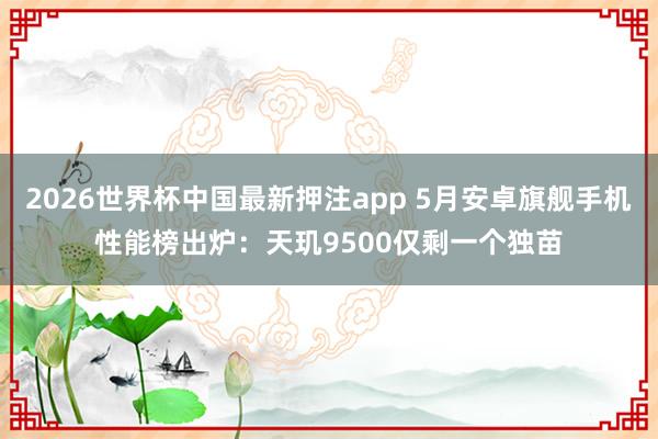 2026世界杯中国最新押注app 5月安卓旗舰手机性能榜出炉