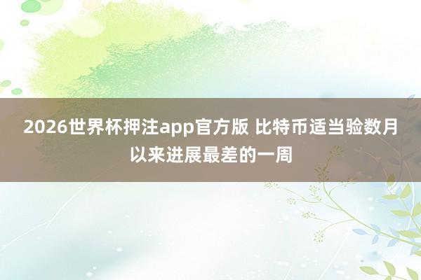 2026世界杯押注app官方版 比特币适当验数月以来进展最差的一周