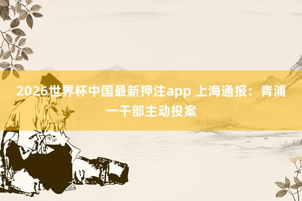 2026世界杯中国最新押注app 上海通报：青浦一干部主动投案