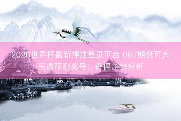 2026世界杯最新押注登录平台 067期樊可大乐透预测奖号：奇偶走势分析