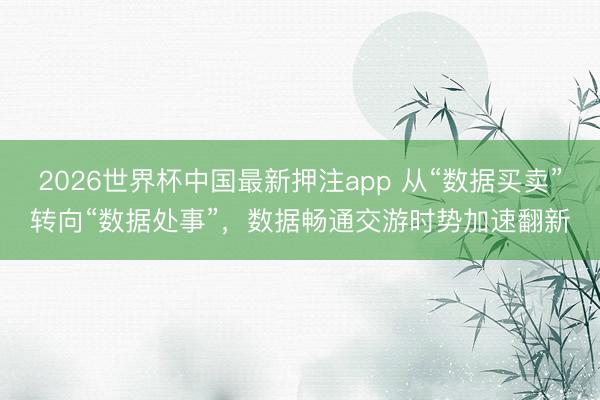 2026世界杯中国最新押注app 从“数据买卖”转向“数据处事”，数据畅通交游时势加速翻新