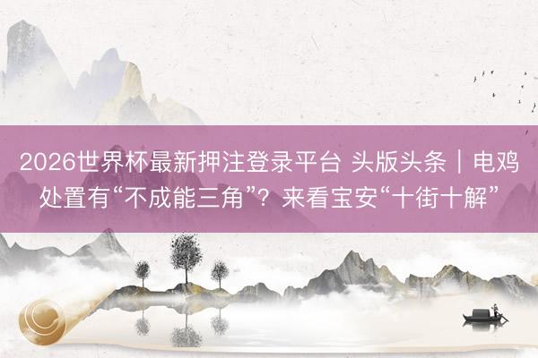 2026世界杯最新押注登录平台 头版头条｜电鸡处置有“不成能三角”？来看宝安“十街十解”