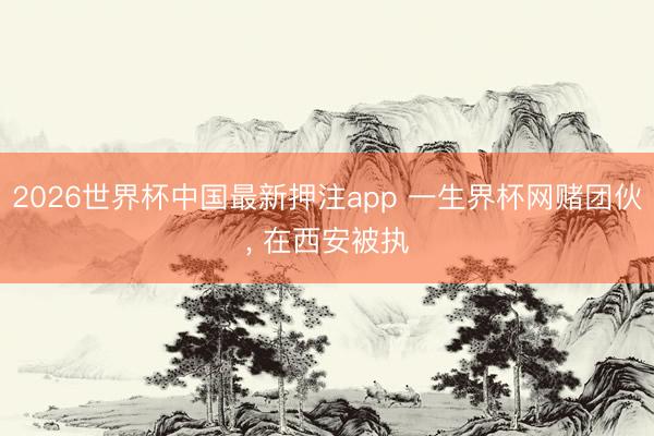 2026世界杯中国最新押注app 一生界杯网赌团伙， 在西安被执